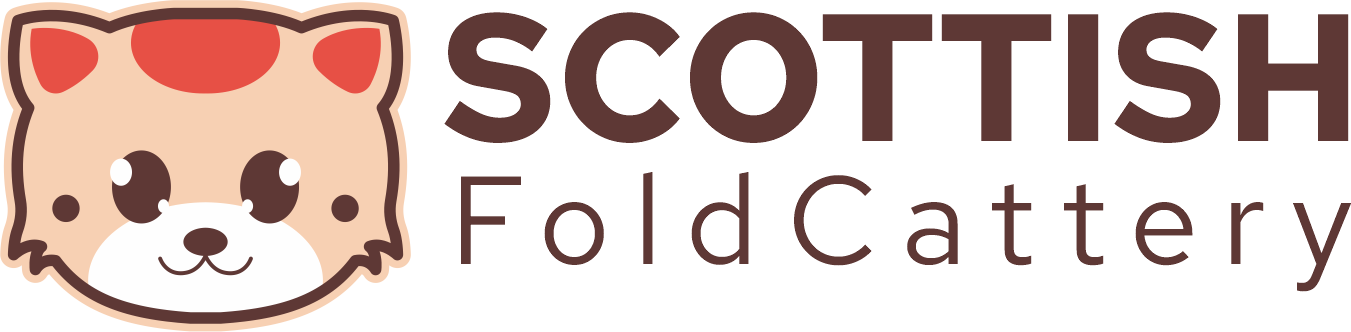 Scottish Fold Cattery